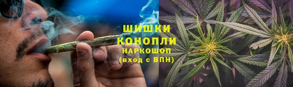 индика Богданович