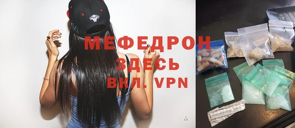 индика Богданович