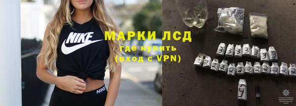 индика Богданович