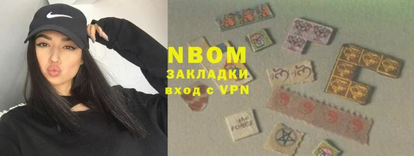 индика Богданович