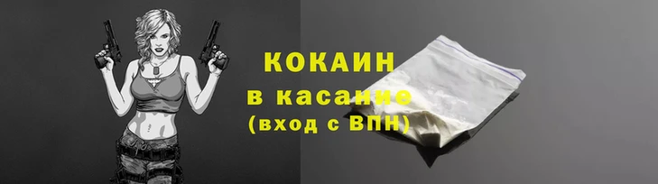 индика Богданович