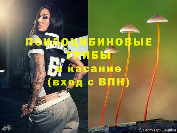 Альфа ПВП Богородск