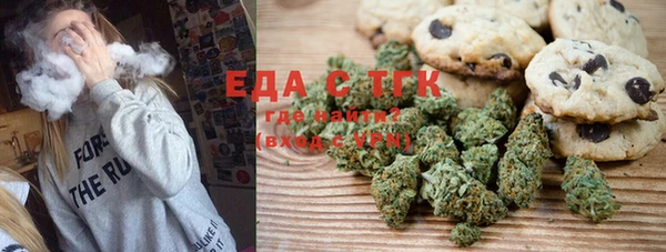 индика Богданович
