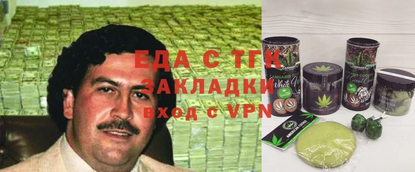 индика Богданович