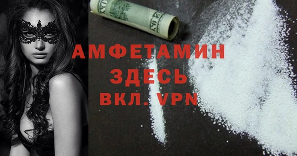 индика Богданович